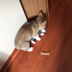 Meet your Posher, Roberto